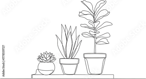 Three potted plants a succulent a snake plant and a fiddle leaf fig arranged on a shelf with a minimalist line art style