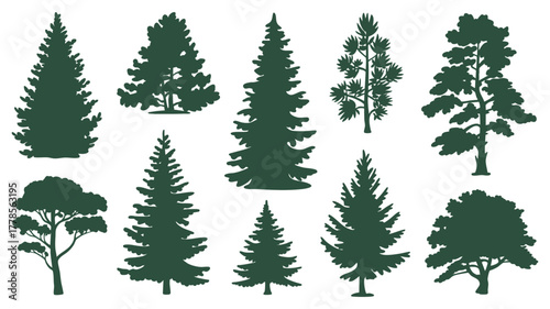 Diverse forest tree silhouettes