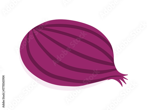 Red Onion Slice Shallot Illustration
