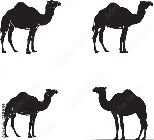Camel Silhouette Set – Desert Animal Icons in Various Poses on White Background