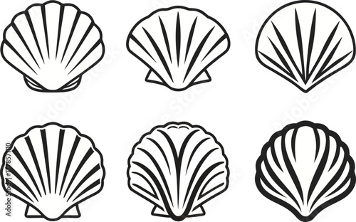 Cockles Shell Outline Illustration Set. Seashell Collection in Line Art Design. Marine Cockle Shell Outline Artwork. Ocean Shell Set Illustration Concept. Sea Cockles in Minimal Line Design. Shellfish