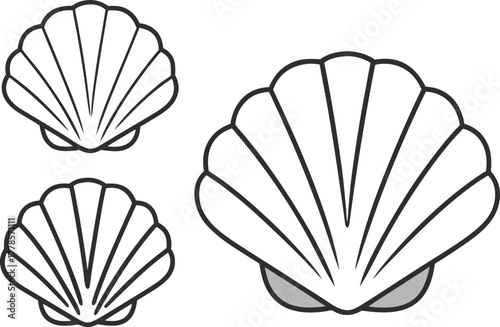 Cockles Shell Outline Illustration Set. Seashell Collection in Line Art Design. Marine Cockle Shell Outline Artwork. Ocean Shell Set Illustration Concept. Sea Cockles in Minimal Line Design. Shellfish