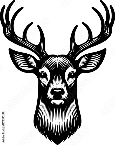 White-Tailed Deer Head Engraving Vector – Vintage Wildlife Illustration