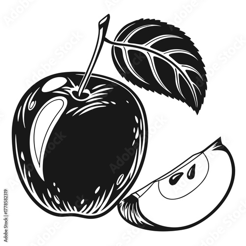 vector illustration of an apple