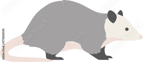 Simple Flat Style Opossum Walking Profile Side View Illustration