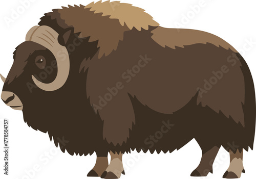 Cartoon Flat Style Brown Muskox Standing Wildlife Animal Illustration