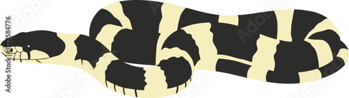 Simple Flat Design Banded African Water Cobra Reptile Illustration