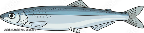 Simple Detailed Illustration of Sardine Fish with Cartoon Style Flat Design