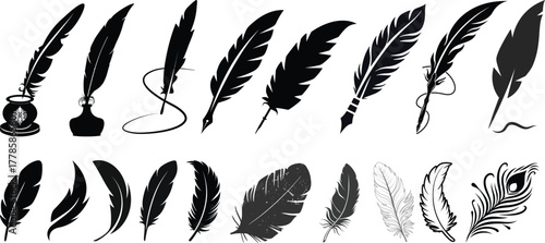 Set of detailed majestic feather collection. Bird Feather black silhouettes. Plumelet collection. Vector isolated on white.Detailed majestic feather collection. Feather Set icon, logo isolated