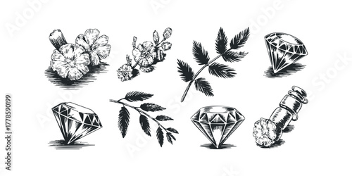 Group of botanical elements and faceted gemstones sketch