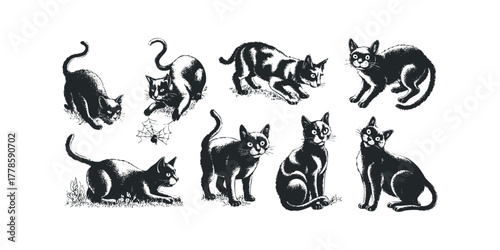 Collection of playful and curious black cats in various poses
