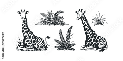 Two giraffes and jungle foliage drawn in a linocut style