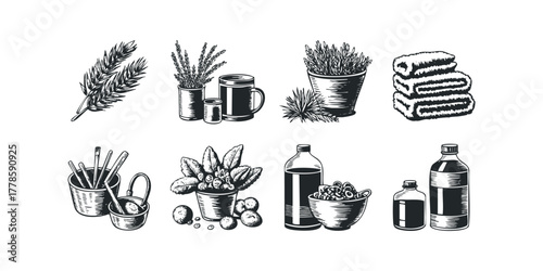 Collection of Hand Drawn Botanical and Household Objects