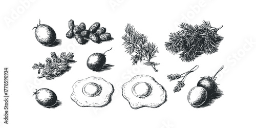 Hand-drawn food items including tomatoes and fried eggs