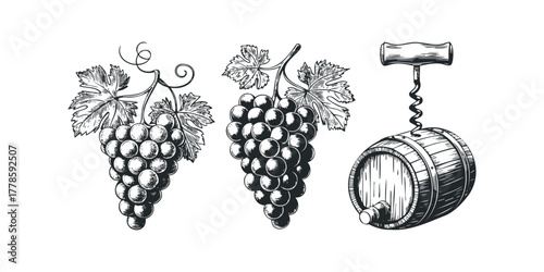 Grapes and Wine Barrel Engraving
