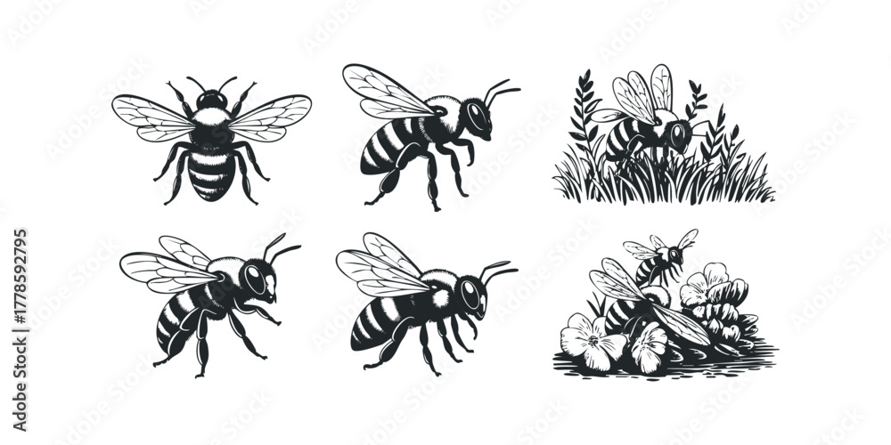 Naklejka premium Six Bee Illustrations in Silhouette Style