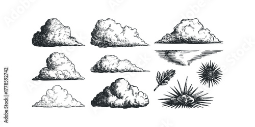 Pen and ink drawings of various clouds and natural elements