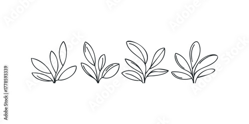 Four stylized plant sprigs with leaves