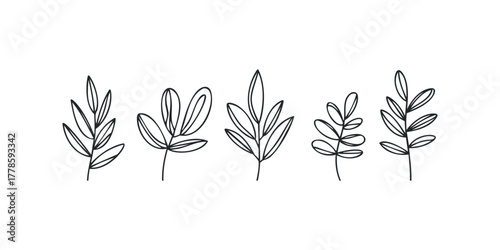 Set of five hand drawn plant stems with leaves