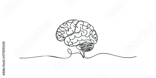 Abstract single line drawing of a human brain with cerebellum