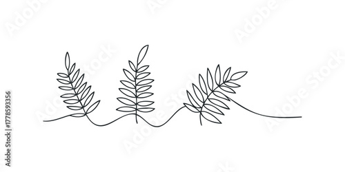 Three Fern Fronds in Minimalist Black Line Art Style