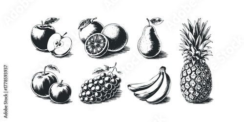 Collection of Drawn Fruits Apples Oranges Pears Bananas Pineapple Grapes