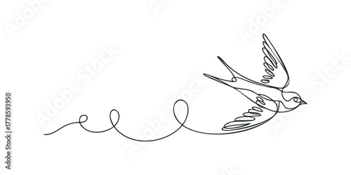 Minimalist line drawing of a swallow in flight