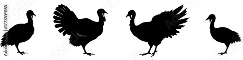A collection of four turkey silhouettes, each in a distinct pose. Two turkeys have their tails fanned out, showcasing their plumage, while the other two stand in a more relaxed, upright posture.