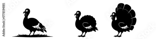 three stages of turkey tail feather display in simple black silhouette on transparent background