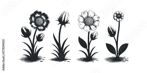 Black and White Floral Line Art