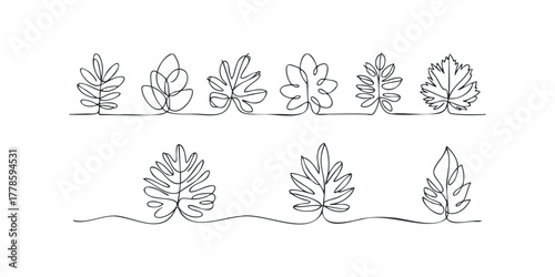 Collection of eight minimalist leaf line drawings