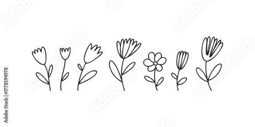 Simple Line Drawing Collection of Varying Flower Designs