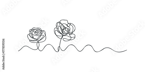 Two single line roses with ground