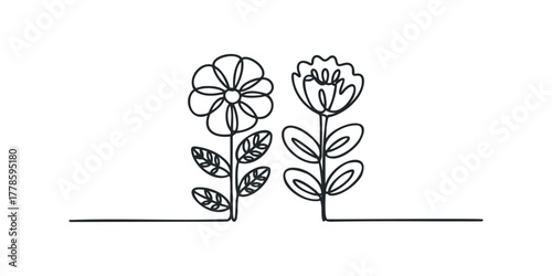 Simple outline drawing of two flowers with leaves