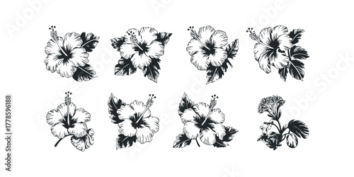 Collection of black and white hibiscus flowers and leaves