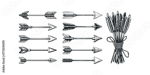 Collection of varied arrows and bound feathers on white