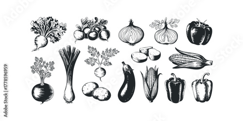 Collection of Black and White Produce Illustrations