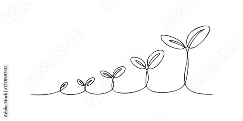 Five Seedlings Showing Gradual Growth Stages