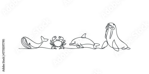 Minimalist continuous line drawing of marine animals
