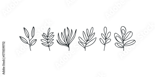 Six botanical line drawing elements
