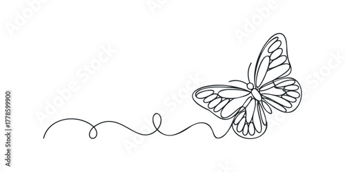 Minimalist butterfly and swooping line drawing