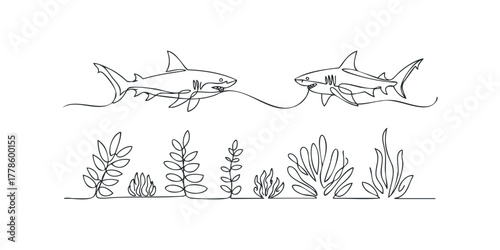 Continuous line drawing of two sharks swimming above underwater plants