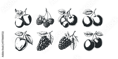 Collection of Hand Drawn Fruit Illustrations with Leaves