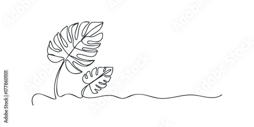 Monstera leaf outline in continuous line style