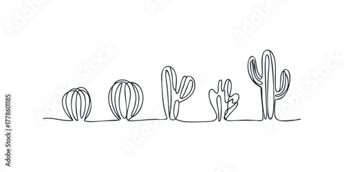 Minimalist continuous line drawing of various cacti shapes