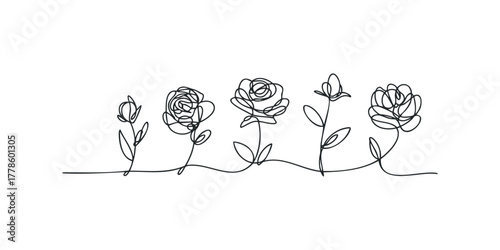 Continuous line drawing of five rose blooms on stems