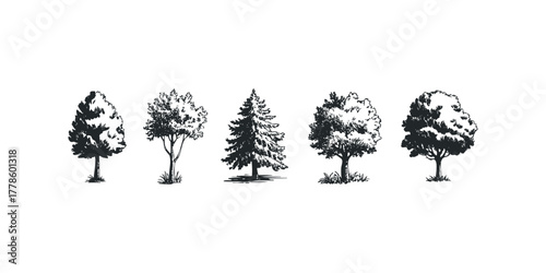 Collection of five diverse trees in a line sketch