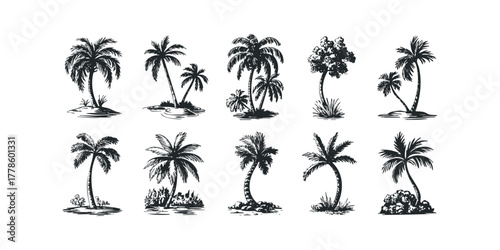 Collection of ten hand-drawn tropical palm tree sketches