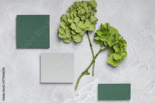 Greeting card, presentation with two branches of hydrangea in green tones. This aesthetically pleasing minimalist composition symbolizes harmony and nature.
