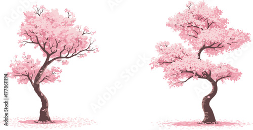 Cherry Blossom Trees with Pink Petals on White Background – Spring Nature Vector Illustration for Seasonal, Botanical, Floral, and Landscape Themes